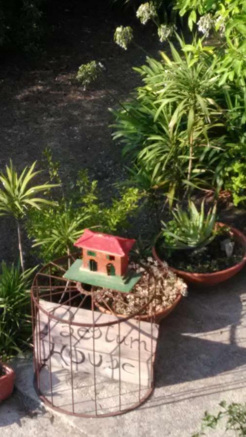 Paestum House Bed and Breakfast Εξωτερικό φωτογραφία